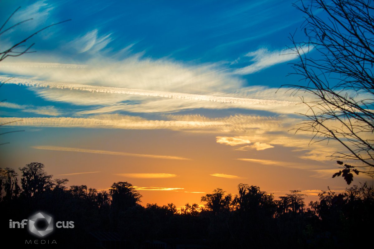 in_Focus_Media's tweet photo. Sunsets in #Florida are #beautiful! #photography #sunset #infocusmedia https://t.co/8Ptqrg0K1u
