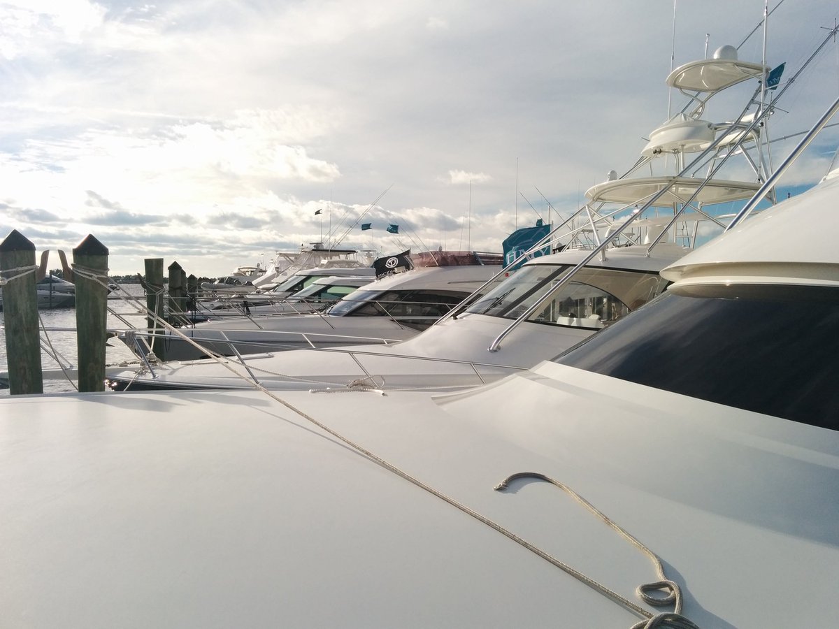 Gyro-Gale Stabilizer tweet media