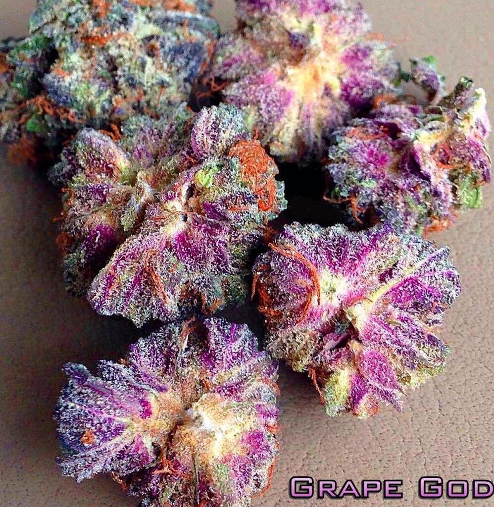 myfavoritenugs's tweet photo. PURPLE GOD https://t.co/hflP99QfrE