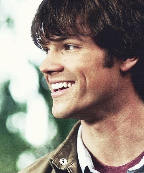 ProvokedSam's tweet image. 1, 2, 3, 4, wich  one for my new avi