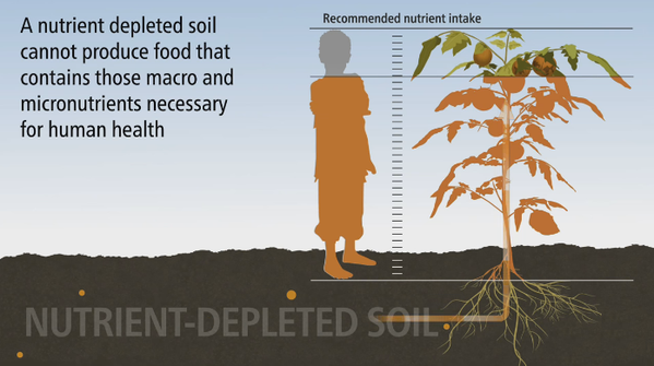 mwbloem's tweet photo. #Soil: An essential ingredient to healthy #food &amp; #nutrition https://t.co/FeUEJgEyYA https://t.co/fi9jqcc9ID