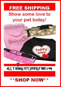 AllThingsPetSS's tweet photo. Shop NOW!   https://t.co/QD8TDgxjmj https://t.co/eu3k6f8o5U