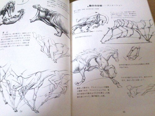 いぬひろ やせいのエビフライガチャ化 ドラねこ書籍化 イラスト教本良書集 動物画の描き方 生き生きと描く秘訣 小学生の時からの家宝 2代目 ディズニーのアニメーターさんの描かれた本なので 骨や筋肉の流れから動物を描く方法や アニメーション