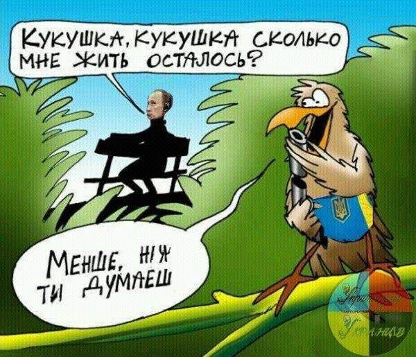 Внедрение системы госзакупок ProZorro позволило сэкономить 0,5 млрд грн, - Яценюк - Цензор.НЕТ 4085