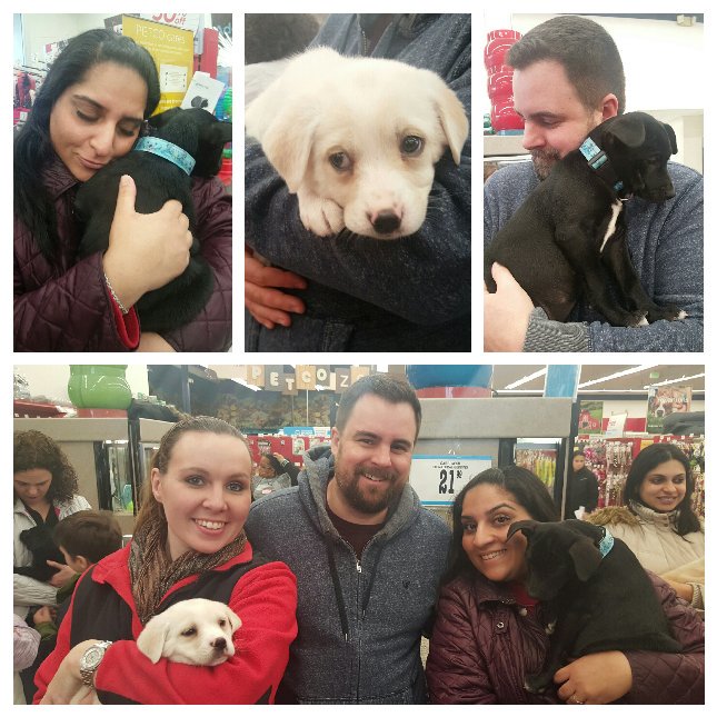 Target volunteer events with puppies are the best volunteer events! <a href="/Kierstonwads/">Kierston Wadsworth</a> <a href="/LisaJensen74/">Lisa Jensen</a> <a href="/JonHall001/">Jon hall</a>