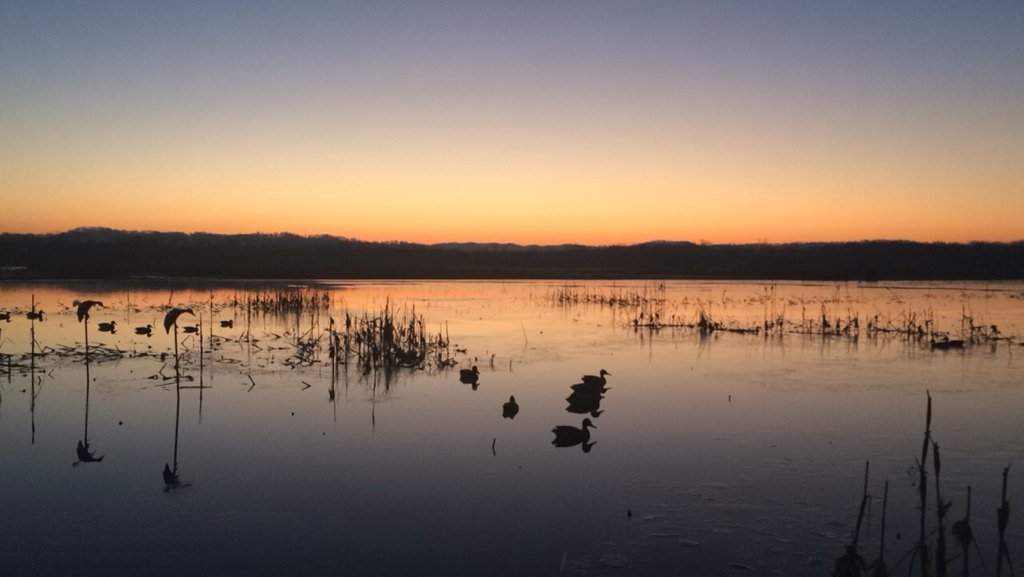 TheWittyOne_3's tweet photo. Gotta appreciate the little things in life #RiseAndGrind #Ducks #SeasonFinale https://t.co/1tBb32wtWY
