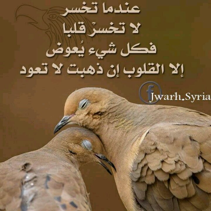 kawthar1222's tweet photo. https://t.co/4bZtjkVhrG