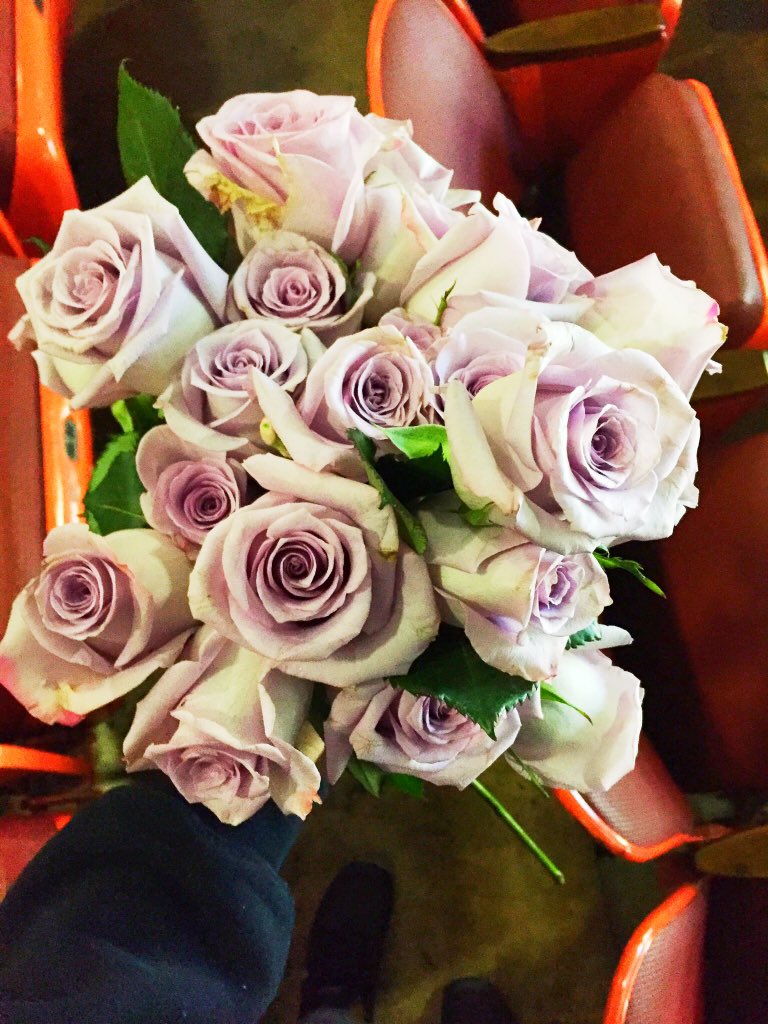 @benhiggi Will you accept my (purple) roses?🌹 #thepurpleroseproject #loveshouldneverhurt