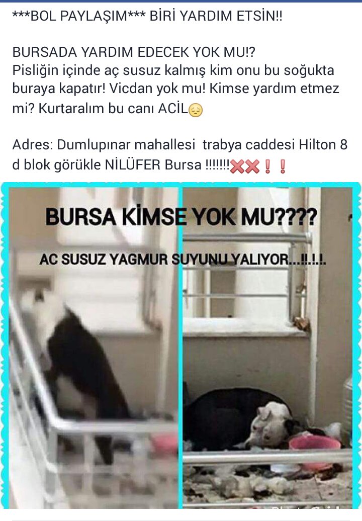 <a href="/ACILLRetweet/">❤️ ACİL Retweet 🐾</a> <a href="/OlayHaber_Bursa/">olay.com.tr</a> <a href="/HukukiHaber/">Hukuki Haber</a> <a href="/Sentez68/">Hülya A.</a> <a href="/sevvalsam/">Şevval Sam</a> <a href="/PetedinCom/">petedin.com</a> <a href="/petlebi/">petlebi.com</a> <a href="/PatiDostlari/">Pati Dostları</a> @Vna <a href="/0pbpt/">Pembe Pati</a>