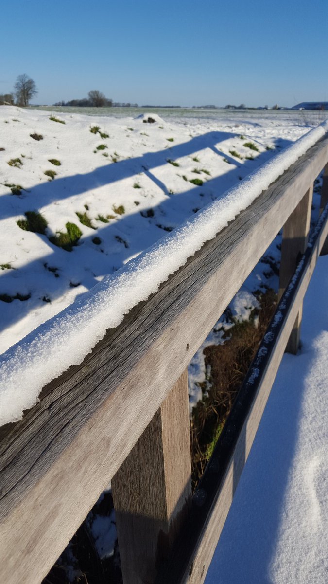 Geert de Jonge tweet media