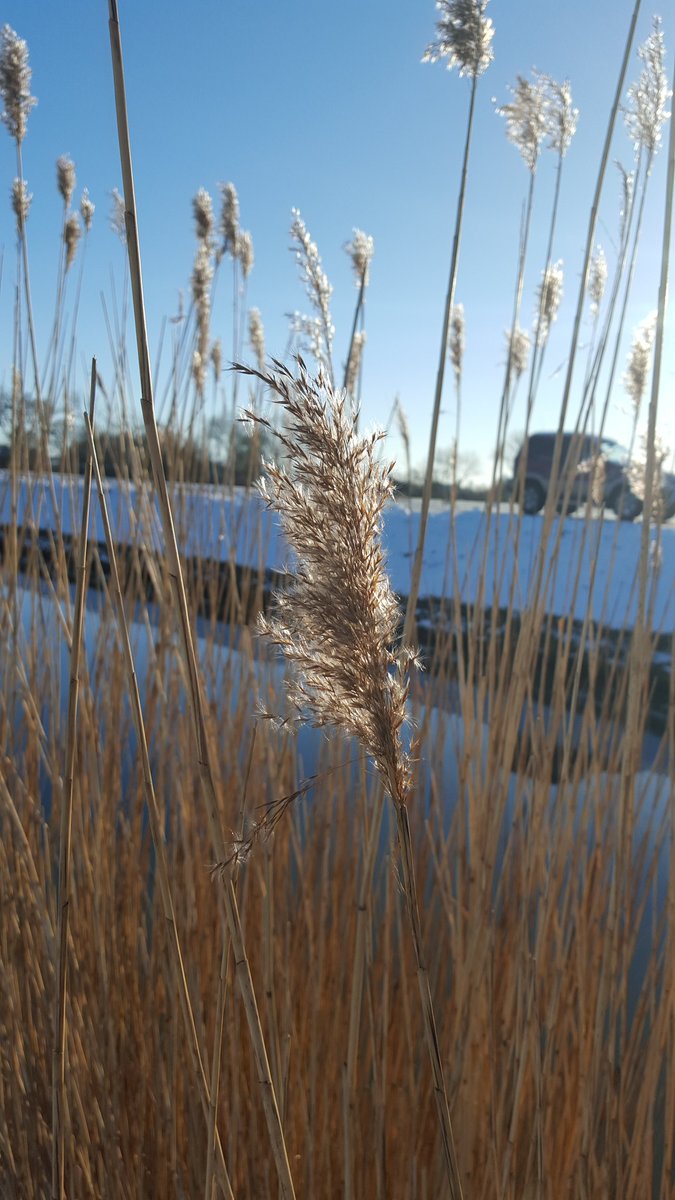 Geert de Jonge tweet media