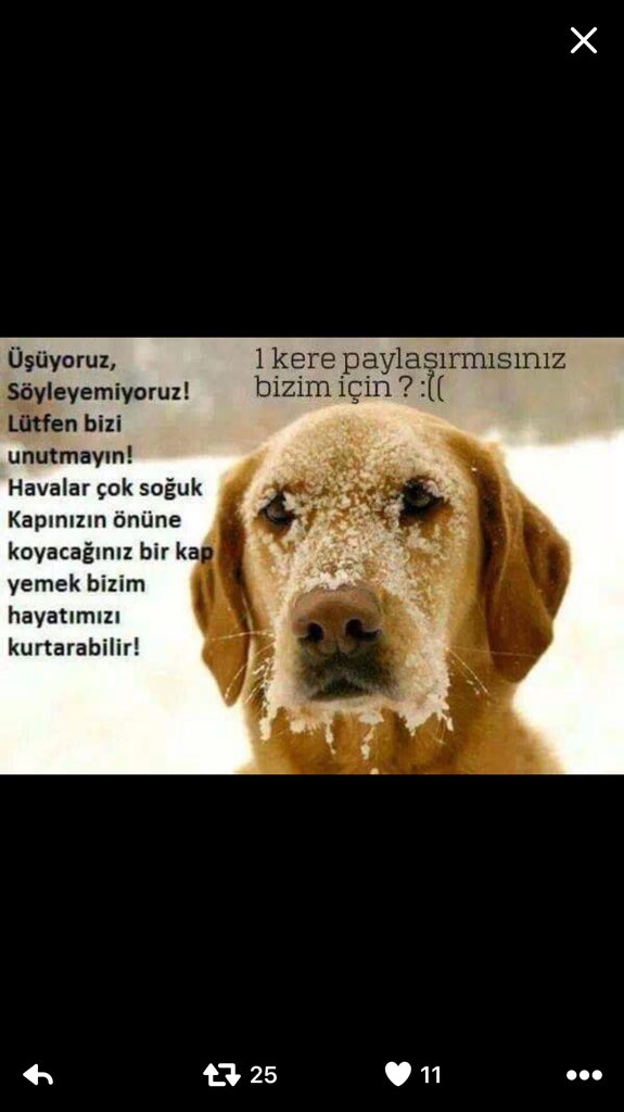 Sanak2015's tweet image. 