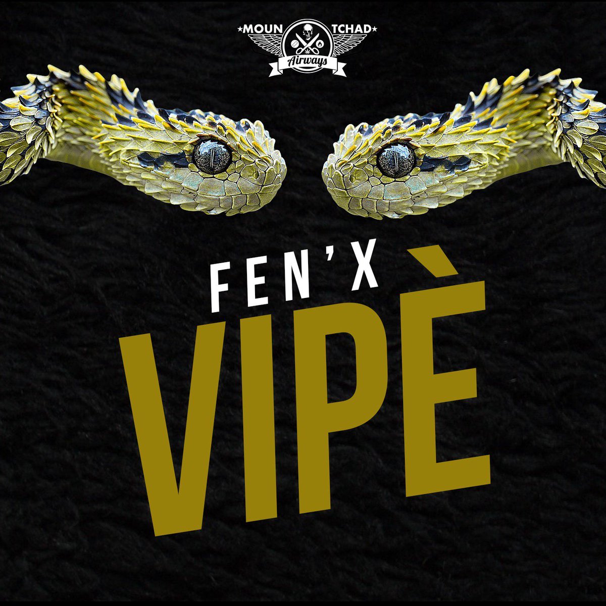 HellzHades's tweet photo. Listen @FenXMounTchad #Newshit - "VIPÈ" - #MounTchad Music #enattendantMounTchadAirways #MTA https://t.co/AQuWmBR8iV https://t.co/W3HikBQkeg