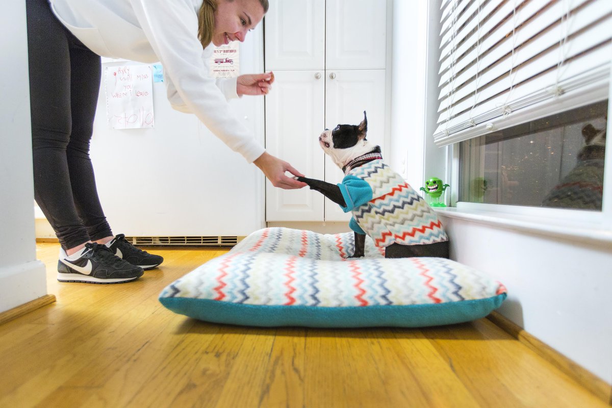 Cute Overload tweet media