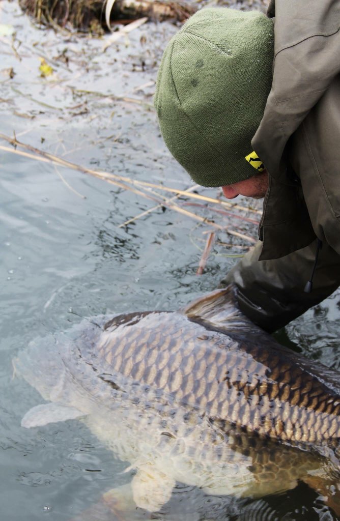 Iced over lake? No problem for Bjorn. #carplife
