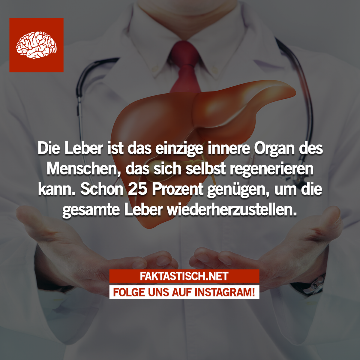 faktastisch's tweet photo. https://t.co/ucdtN0XOwu