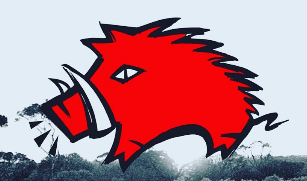FeralBrewing's tweet photo. NSW: It's a #BOARSHOUT! Friday from 6pm, Jackson's pouring out Hop Hog at @EmpireAnnandale! Be there or be thirsty! https://t.co/KgLwnipfwl