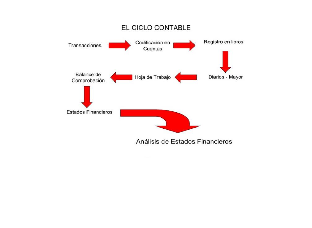 1lezly's tweet photo. Importancia del #CicloContable Tomada de: https://t.co/1GEQWedqWh https://t.co/tmK5gjY5dw