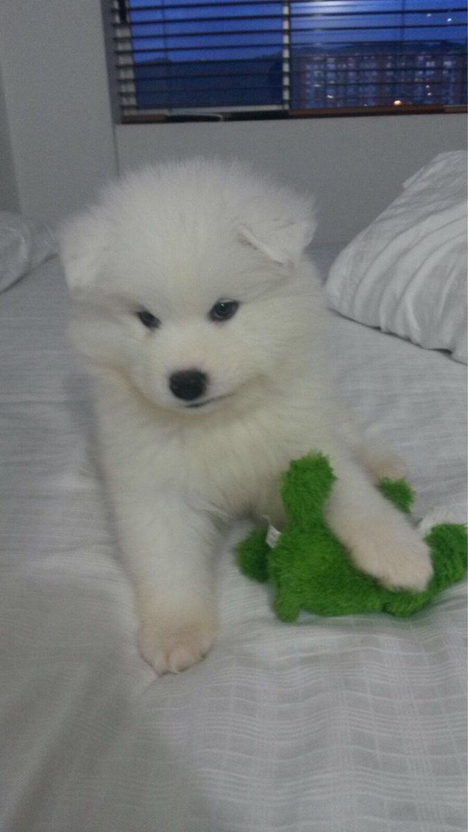 sofiramos2's tweet image. ¿Qué fue lo primero que compraste con tu propio dinero? -  kiw.im/14CJHn32NCB