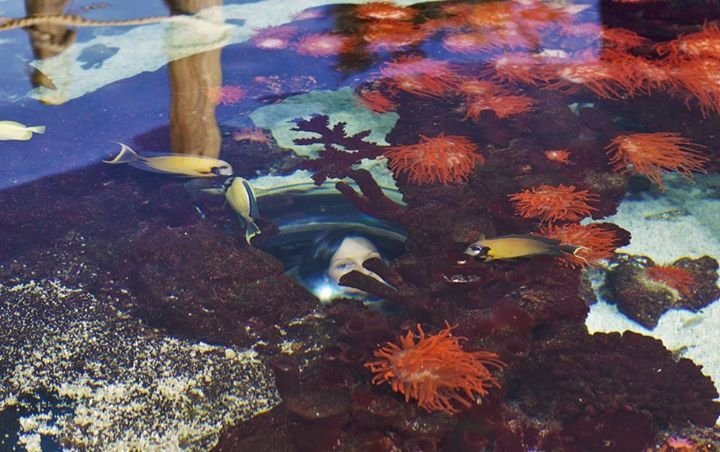 SusanTBatty's tweet photo. Viewer, The Deep, 2015 @thedeephull https://t.co/RNCNamaddC