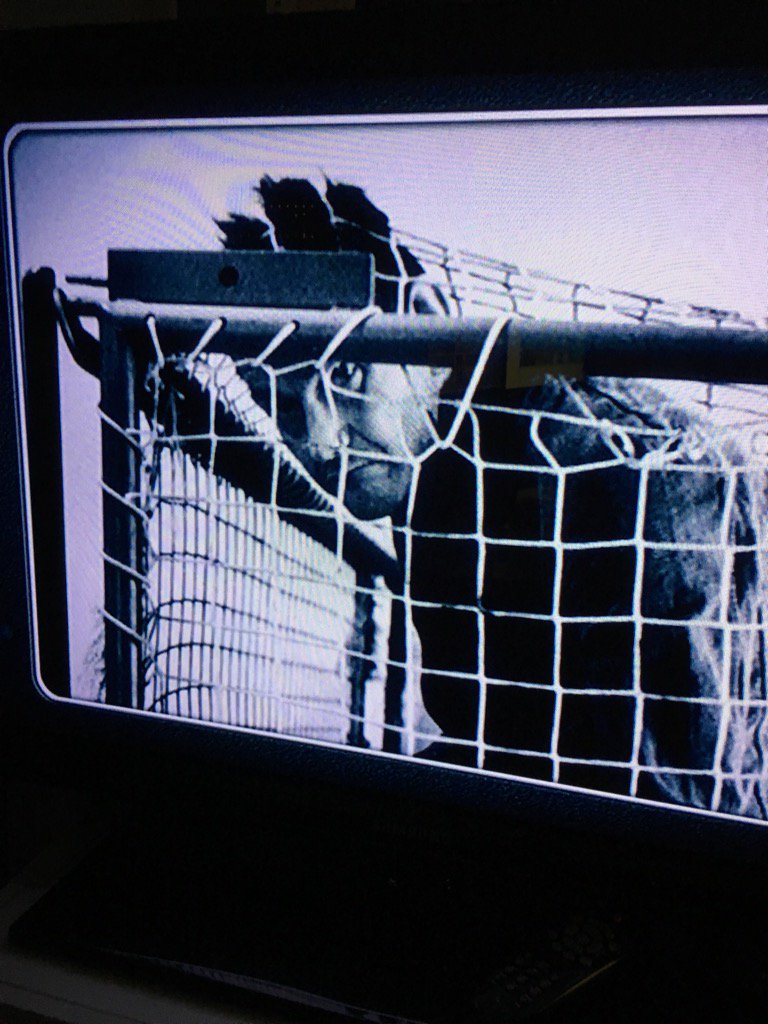 Fifones01's tweet image. #CuartoMilenio MANOLO te toca de portero