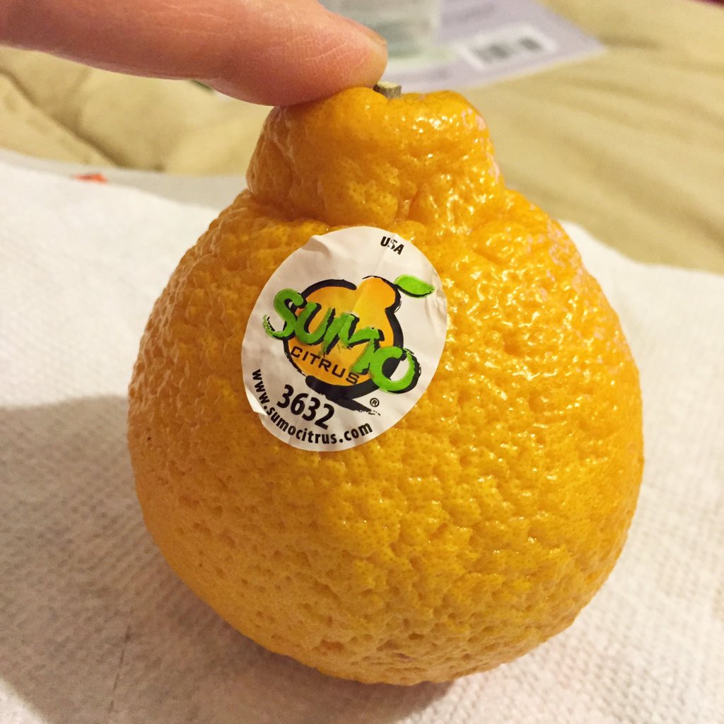 alfa3v's tweet photo. I can't wait to eat you! #sumooranges #sumocitrus #delicious https://t.co/cjVqouvraA