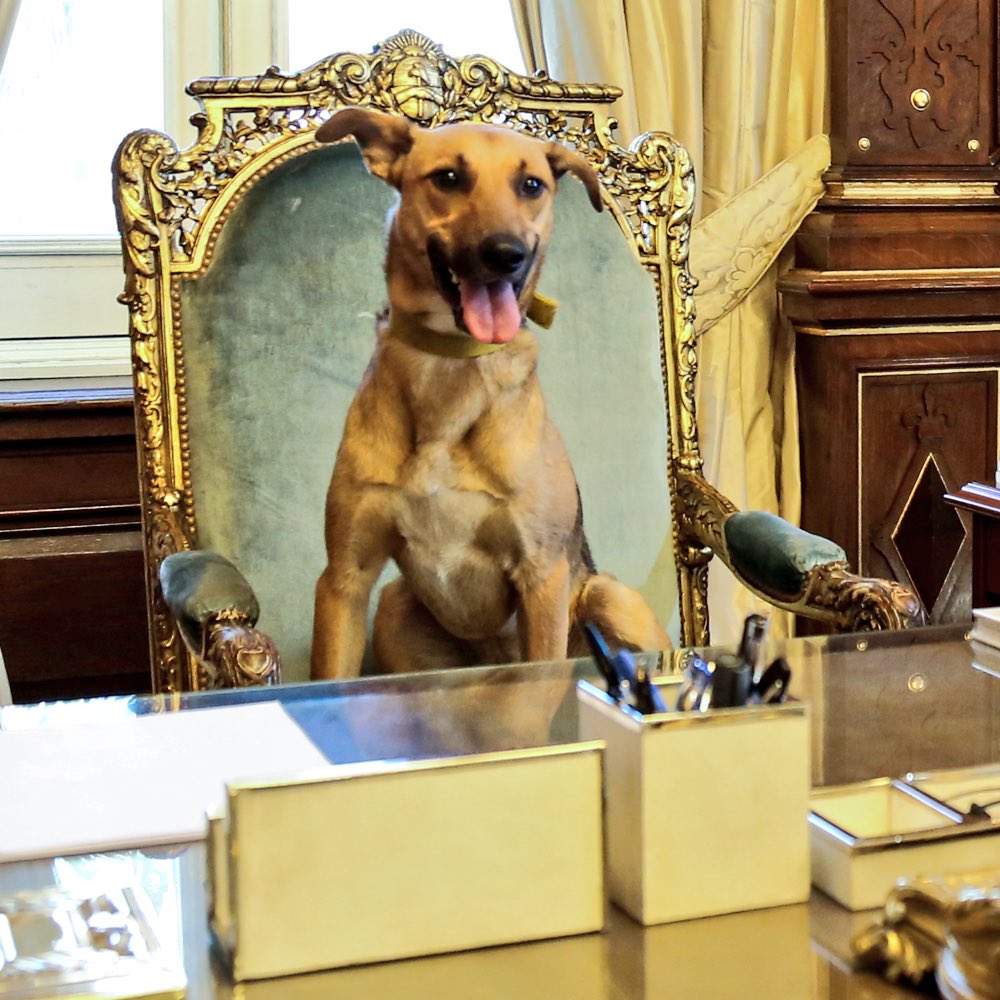 Si. Yo en el sillón presidencial.