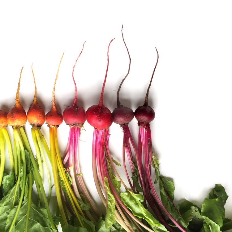 JamesFLauber's tweet photo. RT https://t.co/6OG6J4xqlb ABSOLUTELY #LOVE this #FoodGradient #Photography
https://t.co/9Hn7p1sT1e #Colour #Mod⦠https://t.co/Oe2rMc8IqS