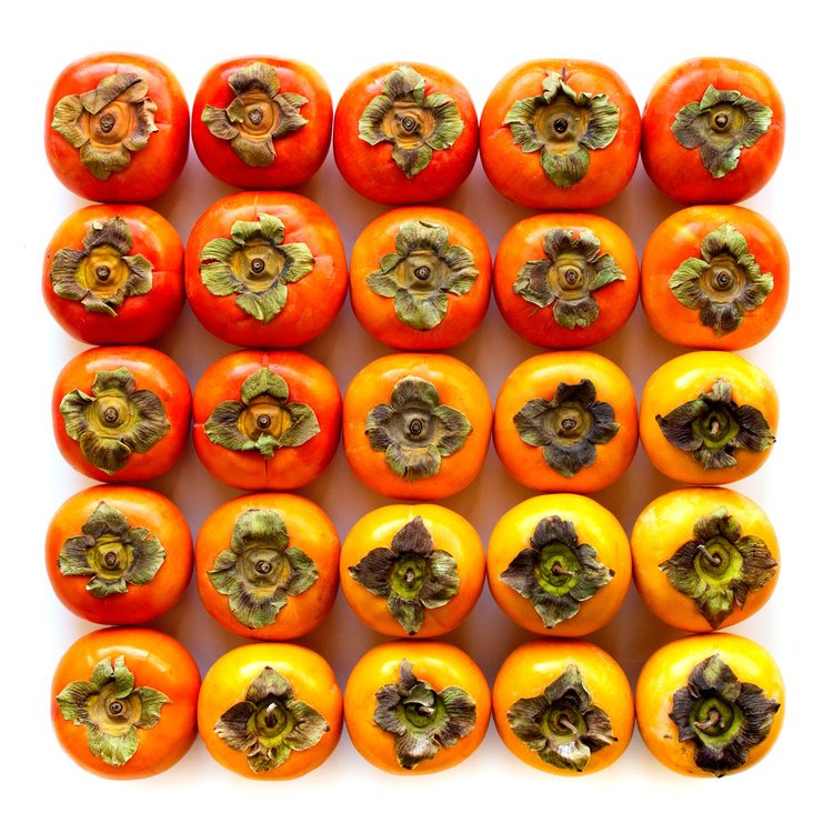 JamesFLauber's tweet photo. RT https://t.co/boaI1PczS5 ABSOLUTELY #LOVE this #FoodGradient #Photography
https://t.co/9Hn7p1sT1e #Colour #Mod⦠https://t.co/WzQpsF9jLl