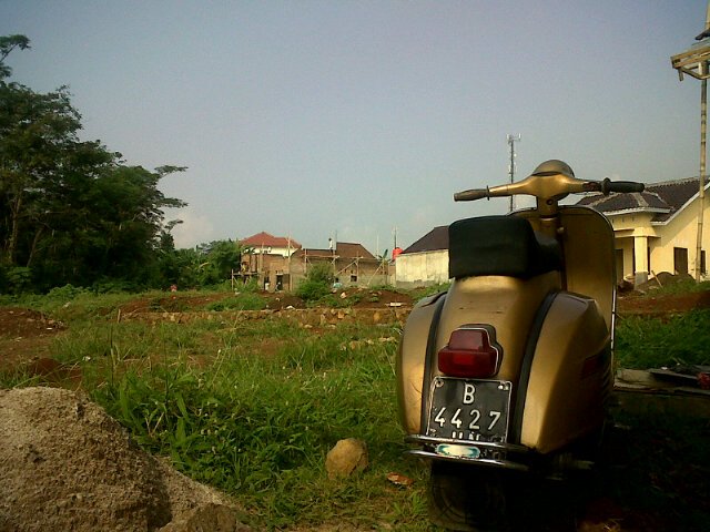 dedypaper tweet picture