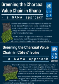 .<a href="/ECOWATCHNIGERIA/">ECOWATCH NIGERIA</a> Focus is charcoal value chain in #DRC. Will build on <a href="/UNDP/">UN Development</a> work bit.ly/1ncxH1w