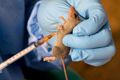medical_tech_'s tweet photo. What you should know about Lassa fever - Vanguard News https://t.co/Thd2jz5i74 https://t.co/9xRGR2Lmg7