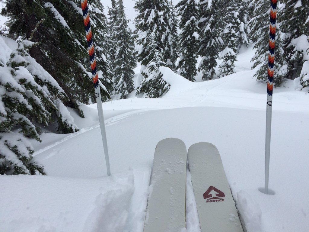 SurfaceSkis's tweet image. "And the harvest is everything..." | @jasonarens ----&amp;gt; Balance 184cm