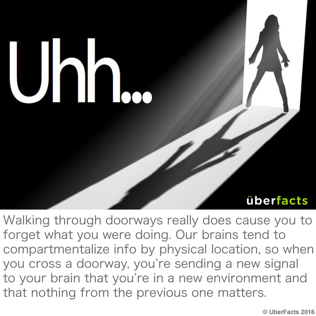 UberFacts's tweet photo. All the time. https://t.co/F50YIzKPxL