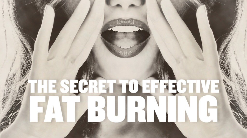 absonfitness's tweet photo. Follow the link to discover the secret to effective #fatburning. #absonfitness #nutrition
https://t.co/Y1Nmehas0M https://t.co/nWyhjqU1uL