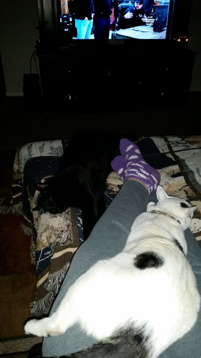 silverhorse01's tweet photo. Great night watching #GhostAsylum with my boys Loki &amp; Uther 😄 @ChrisTWC @DoogTWC @chaseyray @BrannonTWC @PorterTWC https://t.co/3AI9rXUXA2
