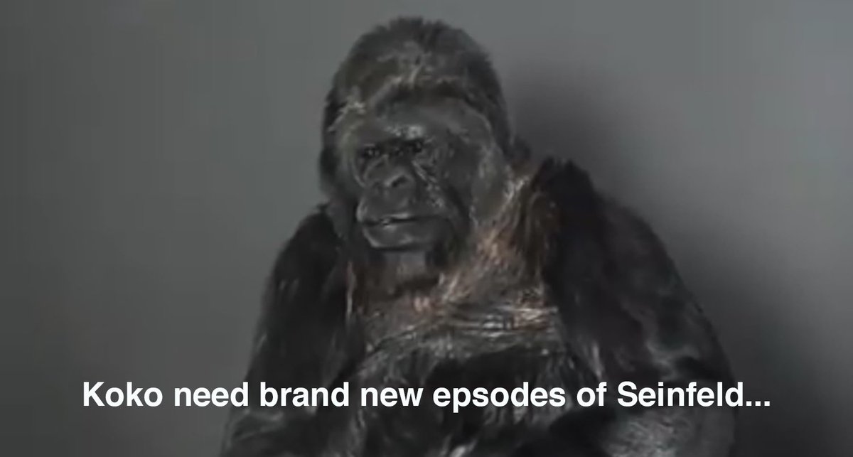 Seinfeld2000's tweet photo. powerful https://t.co/dsw8T7IKII