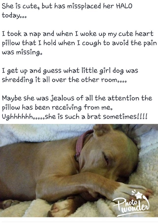 Lynette BOX (@boxlynette) on Twitter photo 