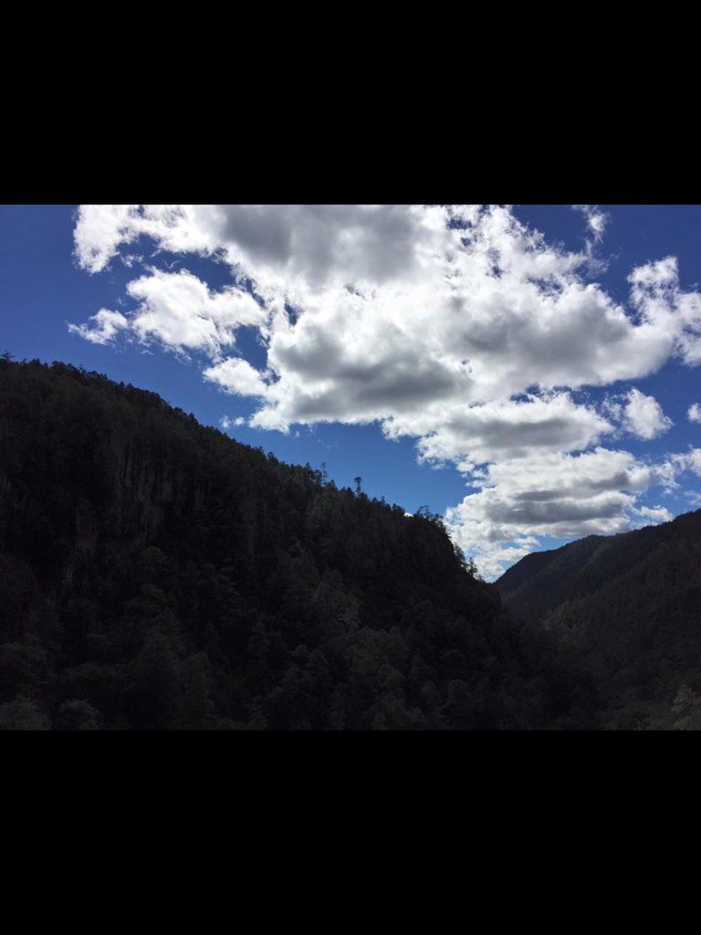 RMolinillos's tweet photo. Una experiencia inolvidable es Rancho Molinillos https://t.co/p00mCsjRlm