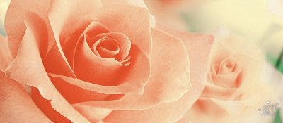 analogwise's tweet image. #B612