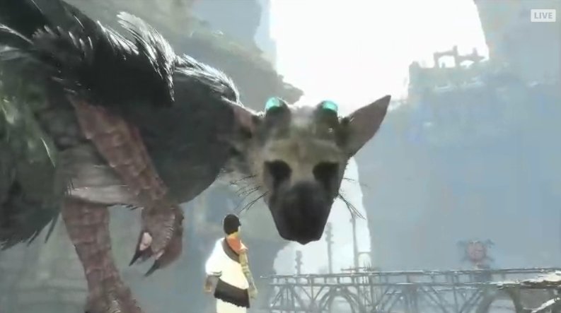 CYAHVDFUkAAqEN-.jpg:large