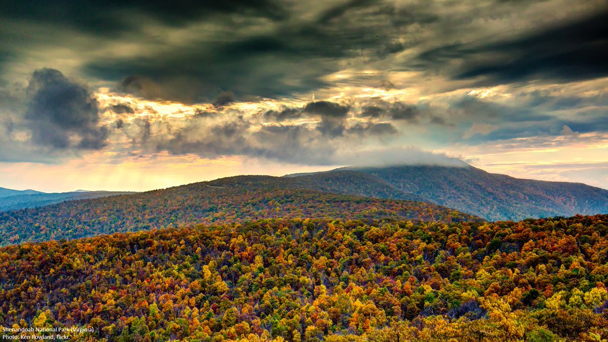 Wilderness's tweet photo. "I love to think of nature as having unlimited broadcasting stations..." -George Washington Carver https://t.co/0idhcrbwUp