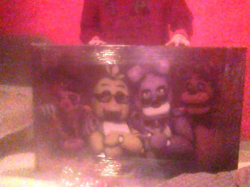mi primer cuadro de fnaf hoy alas 8:00 yeaaaa #webcamtoy
