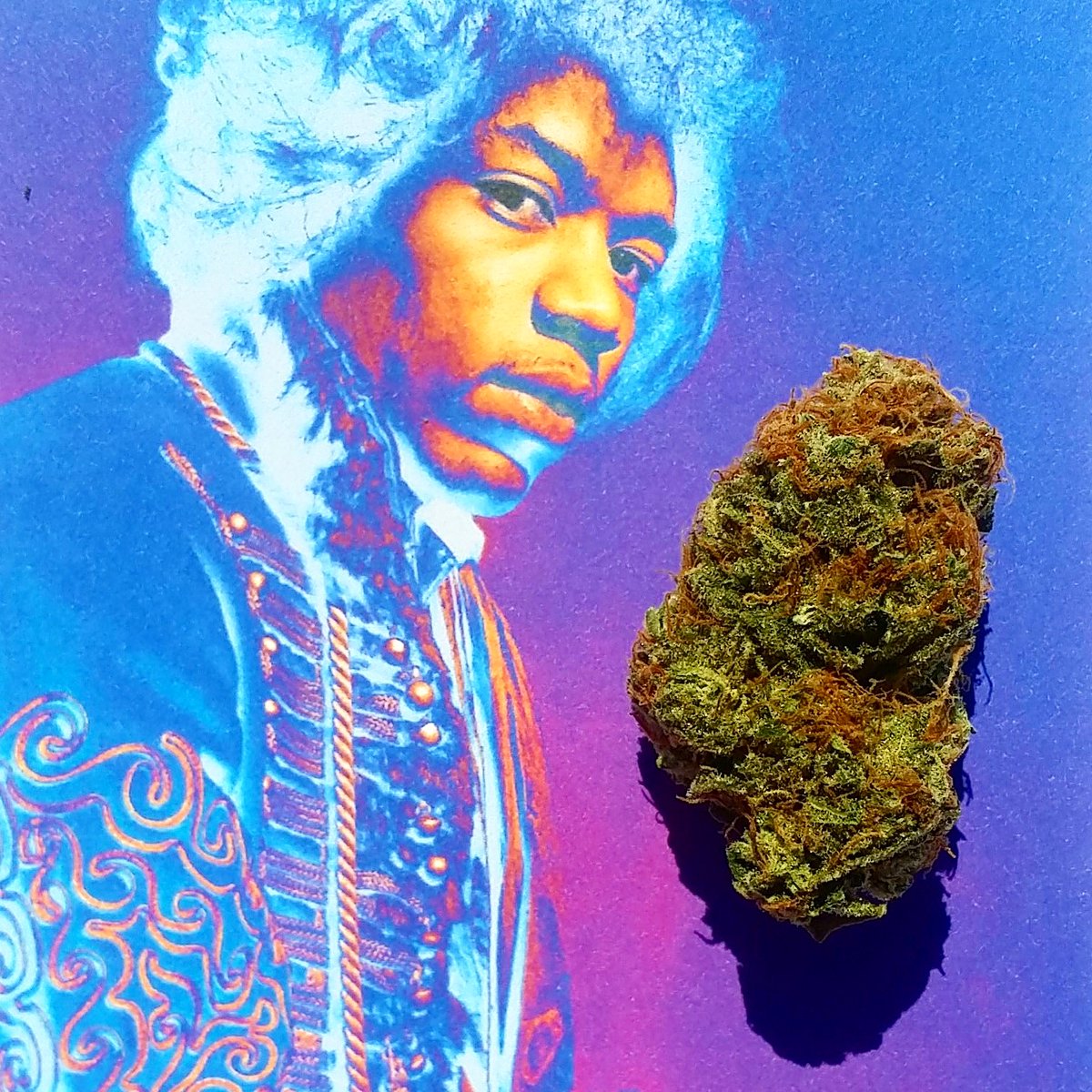 White LSD is 12% Off at Green Life Cannabis. Check out this White Widow descendant for a great price! #GLC