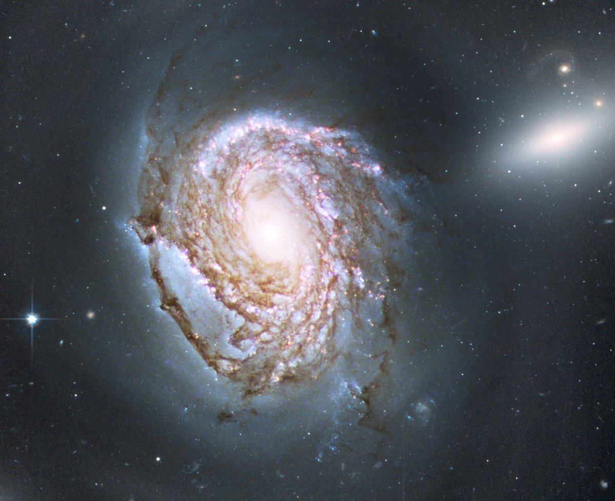 galaxies_bot's tweet photo. 【NGC 4911】
かみのけ座銀河団の奥に存在する渦巻銀河であり、地球から3.2億光年離れている。https://t.co/8316re64ZL