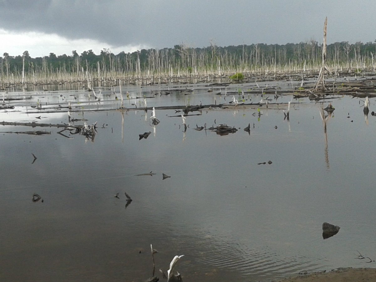 BAGAI MANA ANDA MELIHAT INI?