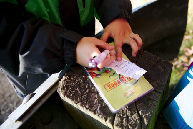 Embedded image permalink