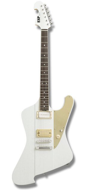 edwards ESP cygnus LEDAモデル　シグナス