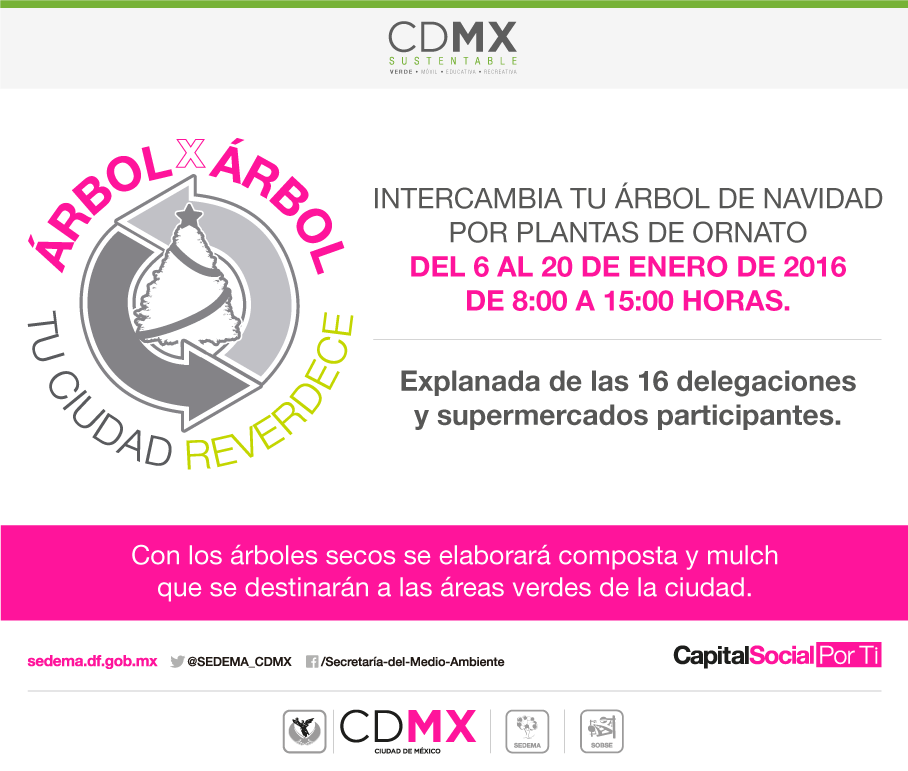 ¡No tires tu árbol de Navidad!Intercámbialo por plantas de ornato y contribuye a realizar compostas con <a href="/SEDEMA_CDMX/">Secretaría del Medio Ambiente</a>