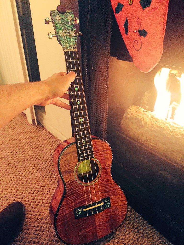 _AlexHirsch's tweet photo. .@DanaTerrace got me the best Xmas present: a custom buffalo-themed uke by @DavePetillo! I will haunt it when I die https://t.co/82njhKo0D2